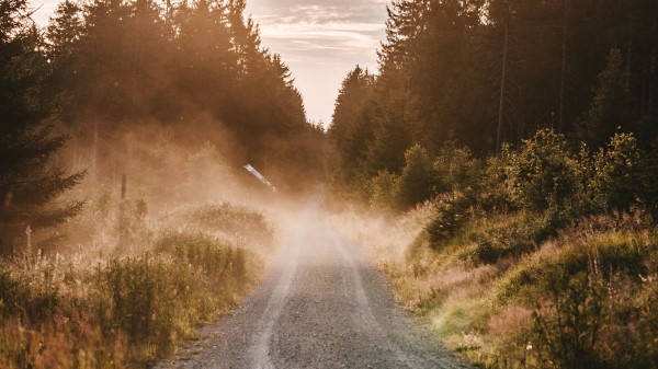 Road Trees Fog Hh Wallpaper