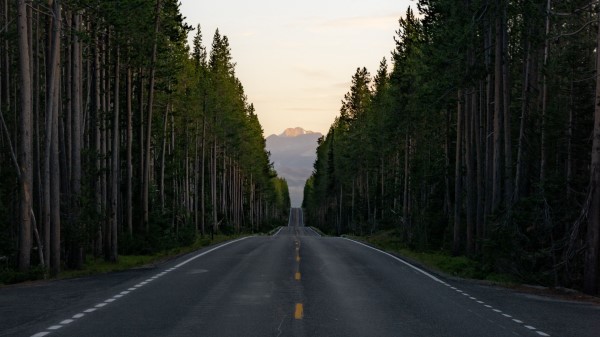 Road Trees Mountain Image Wallpaper