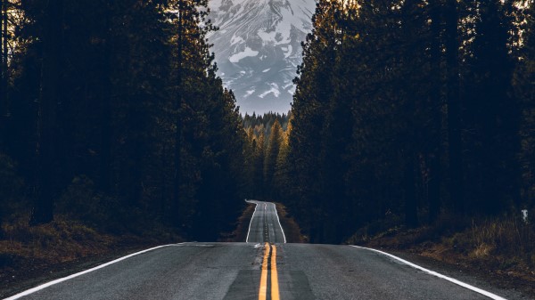 Road Trees Mountain Wallpaper