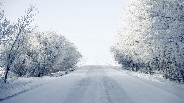 Road Trees Snow Image Wallpaper
