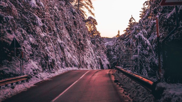 Road Trees Snow Wallpaper