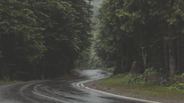 Road Turn Forest Wallpaper