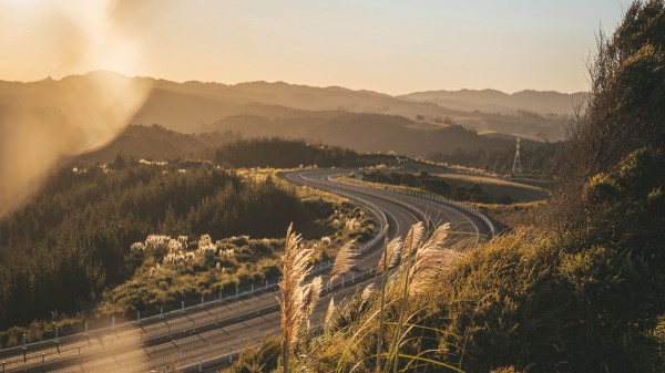 Road Turn Grass Wallpaper
