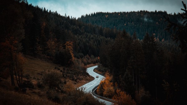 Road Winding Forest Wallpaper