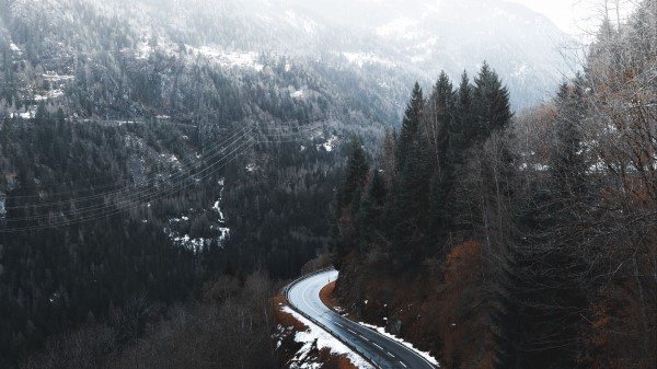 Road Winding Trees H Wallpaper