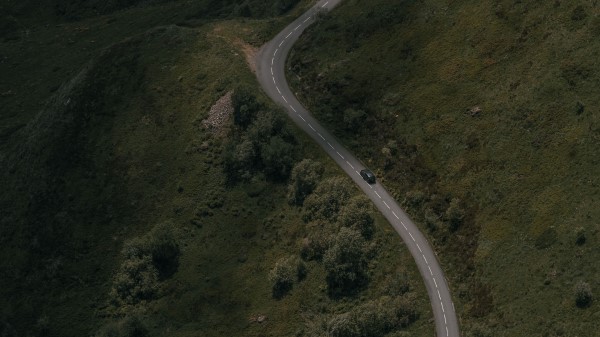 Road Winding Trees Image Wallpaper