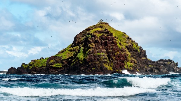 Rock Block Moss Wallpaper