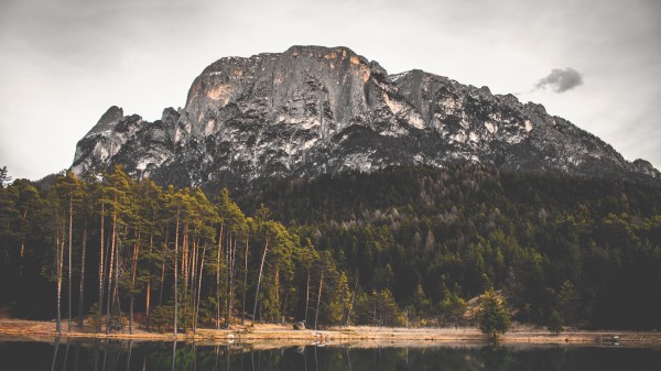 Rock Lake Forest Wallpaper