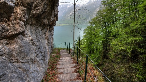 Rock Lake Stairs Trees Slope Landscape Wallpaper