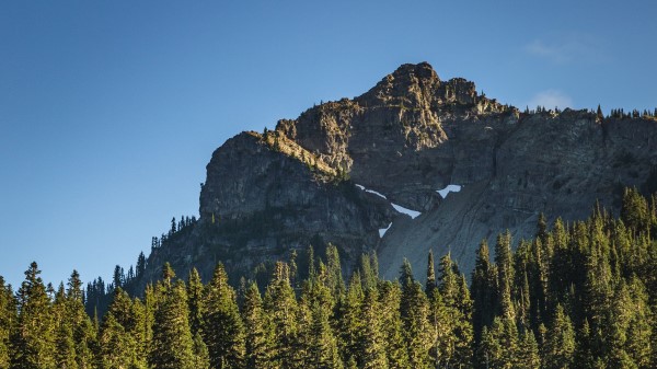 Rock River Spruce Wallpaper