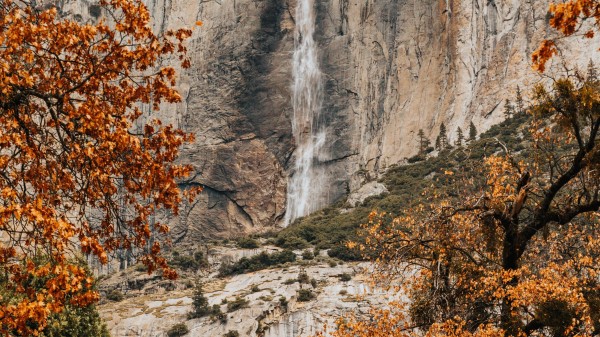 Rock Waterfall Trees Wallpaper