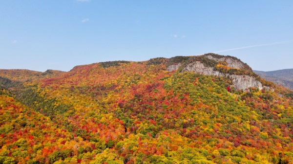 Rocks Autumn Trees Wallpaper