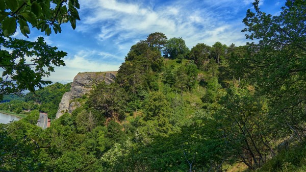 Rocks Branches Trees Wallpaper