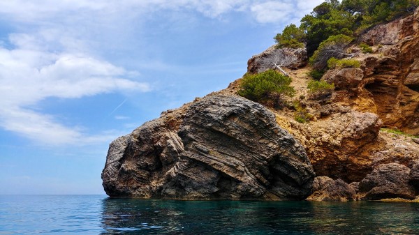 Rocks Bushes Sea Wallpaper