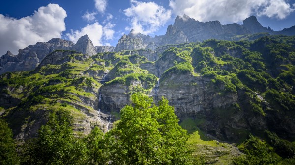 Rocks Bushes Waterfall Wallpaper