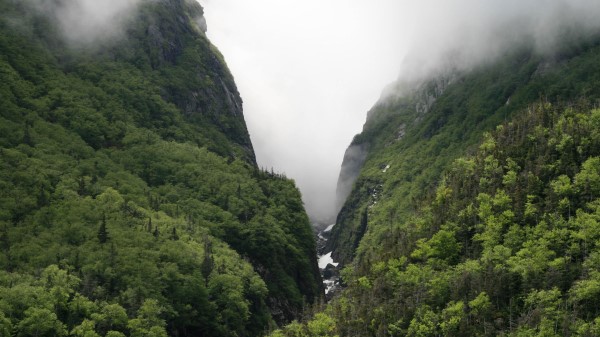 Rocks Fog Trees Wallpaper