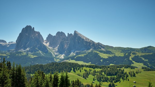 Rocks Mountains Spruce Wallpaper