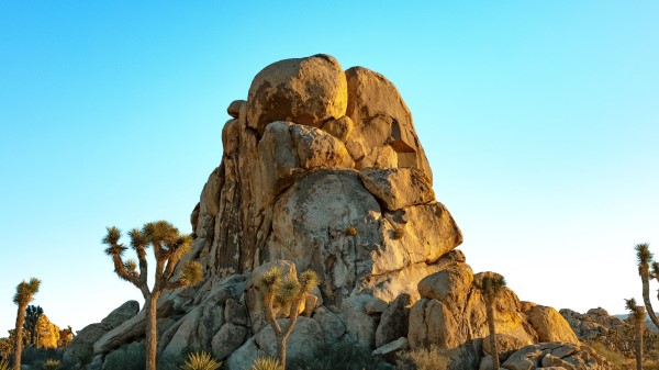 Rocks Mountains Trees H Wallpaper