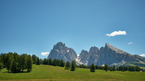 Rocks Mountains Trees Wallpaper