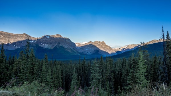 Rocks Spruce Trees Wallpaper
