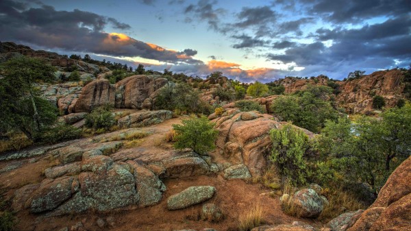 Rocks Stones Bushes Wallpaper