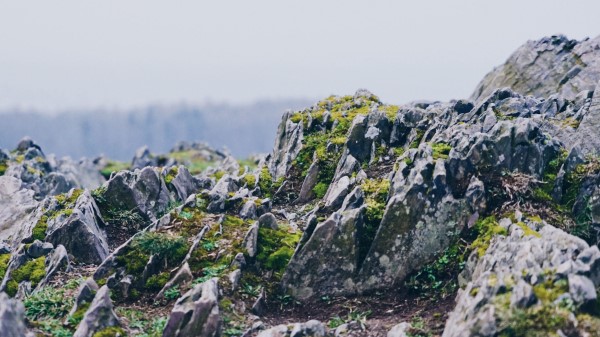 Rocky Uneven Rugged Wallpaper