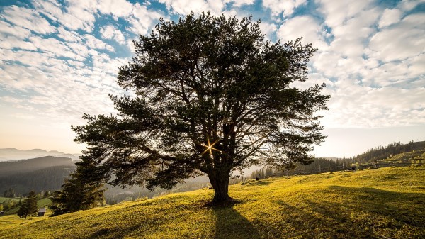 Romania Sky Light Wallpaper