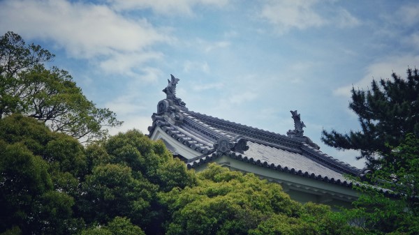Roof Trees Sky Clouds Wallpaper