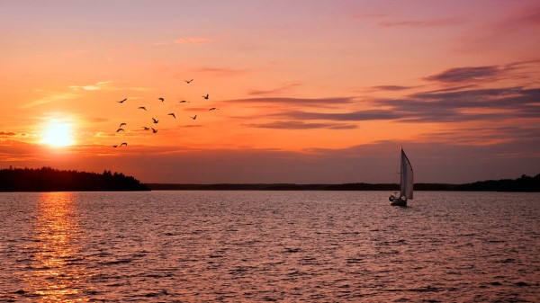 Sailing Vessel Decline Sea Birds Surface Of The Water Ripples Lilac wallpaper