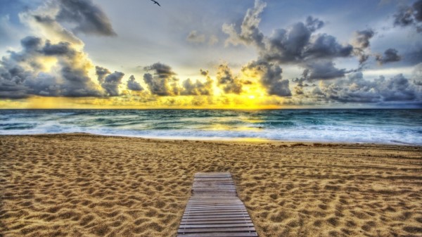 Sand Coast Beach Evening Birds Decline Path Wallpaper