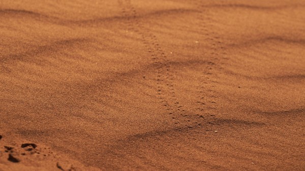 Sand Traces Desert Wallpaper
