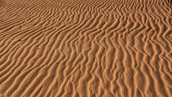 Sand Traces Wavy Wallpaper