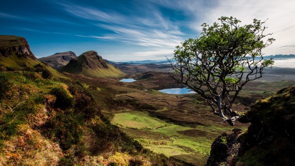 Scotland Trees Mountains Lake Wallpaper