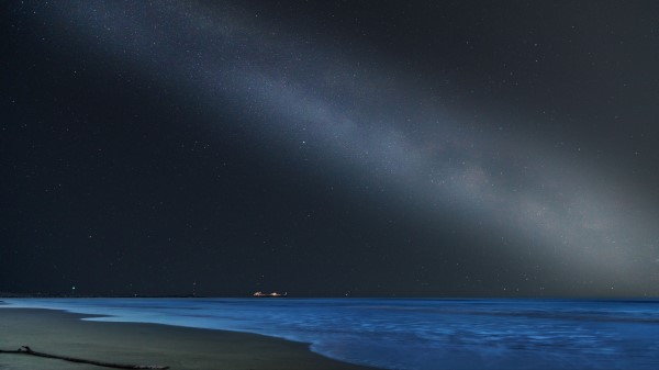 Sea Beach Night Wallpaper