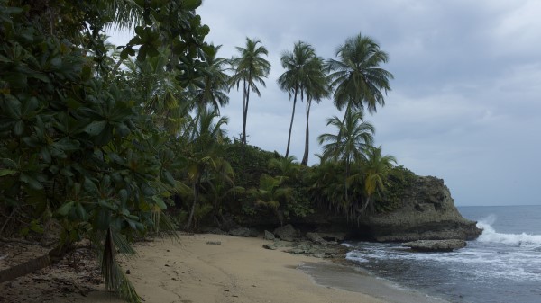 Sea Beach Palm Trees Landscape Wallpaper