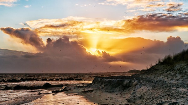 Sea Coast Seagulls Birds Decline Clouds Wallpaper