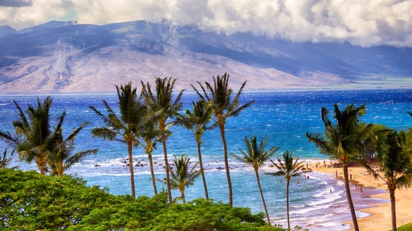 Sea Mountains Palm Trees Beach Wallpaper