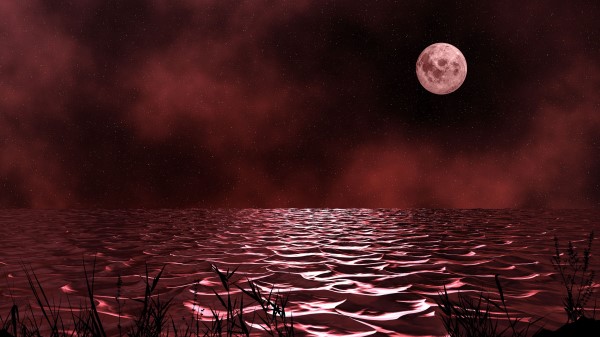 Sea Night Moon Wallpaper