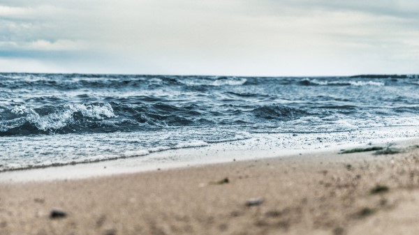 Sea Sand Shore Wallpaper