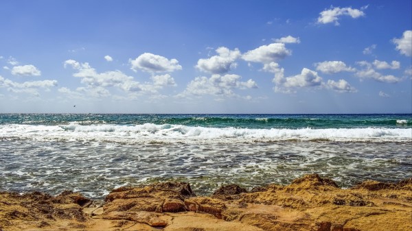 Sea Shore Foam Wallpaper