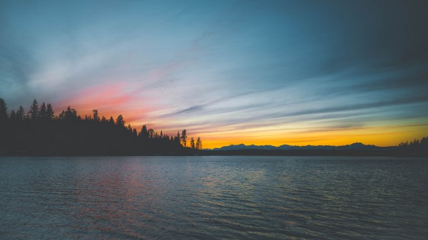 Sea Sunset Trees Shore Wallpaper