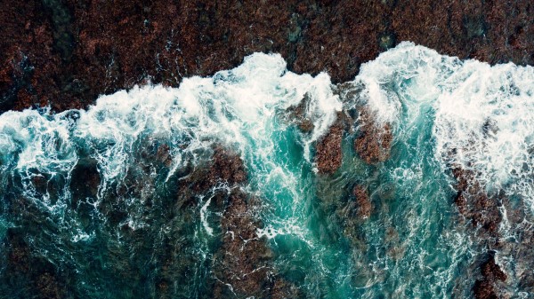 Sea Surf Shore Wallpaper