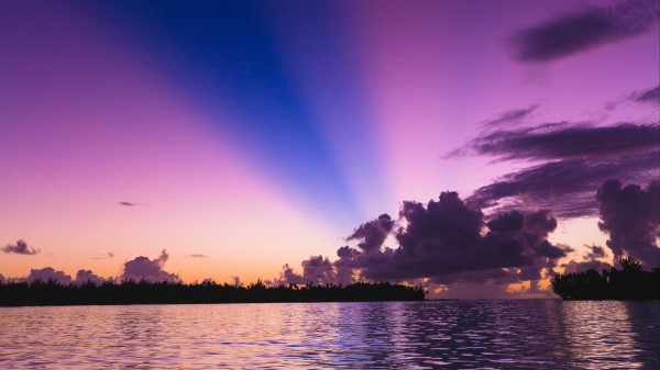 Sea Trees Sunset Sky Wallpaper