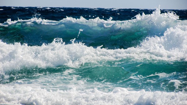 Sea Wave Foam Spray Surf Wallpaper
