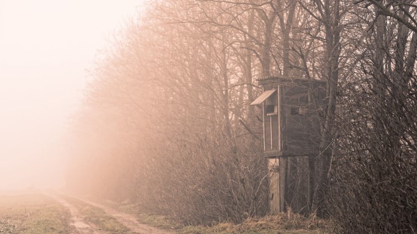 Shack Trees Fog Wallpaper