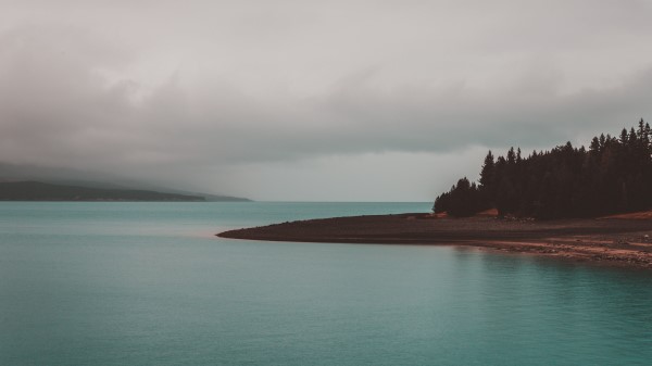 Shore Trees Sea Wallpaper