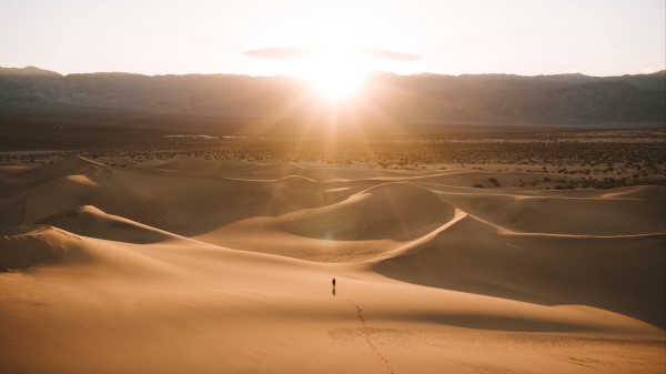 Silhouette Desert Dunes Wallpaper