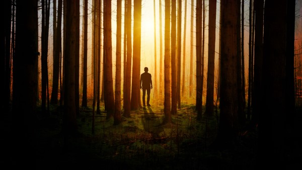 Silhouette Man Forest Trees Wallpaper