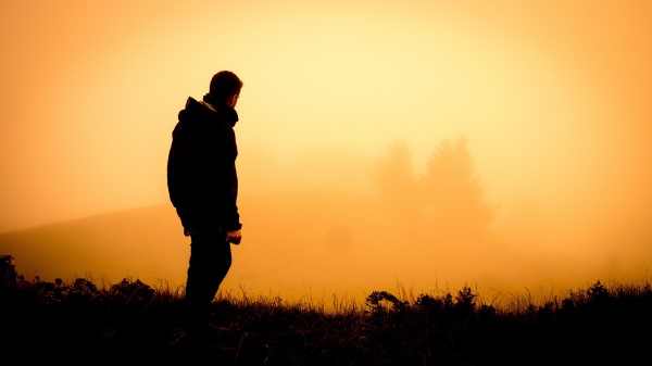 Silhouette Sunset Fog Wallpaper