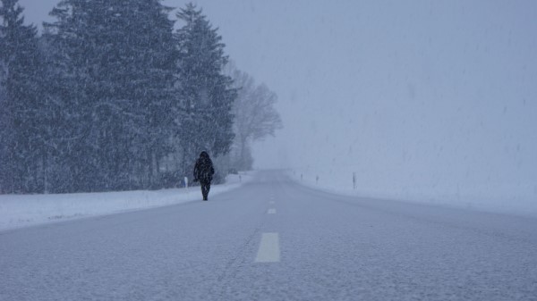 Silhouette Winter Fog Wallpaper